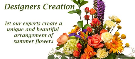 Designers Choice Summer Category Banner